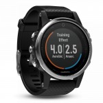 Buy Unisex Garmin Watch Fēnix 5S 010-01685-02 GPS Multisport Smartwatch